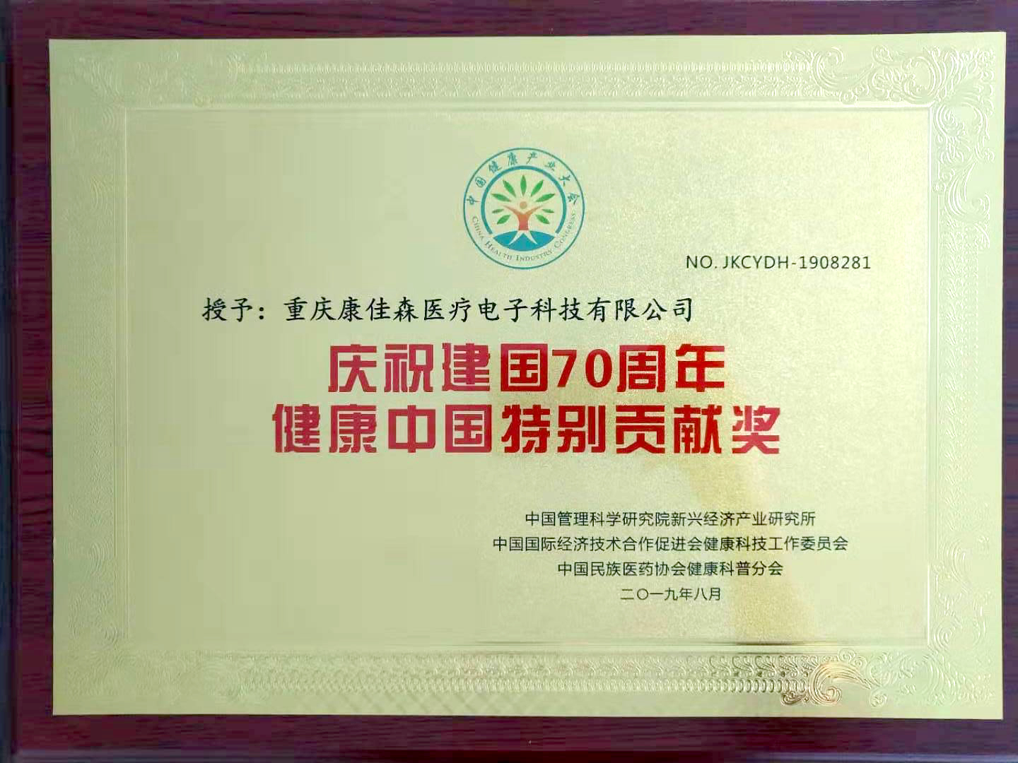 慶祝建國70周年健康中國特別貢獻獎 